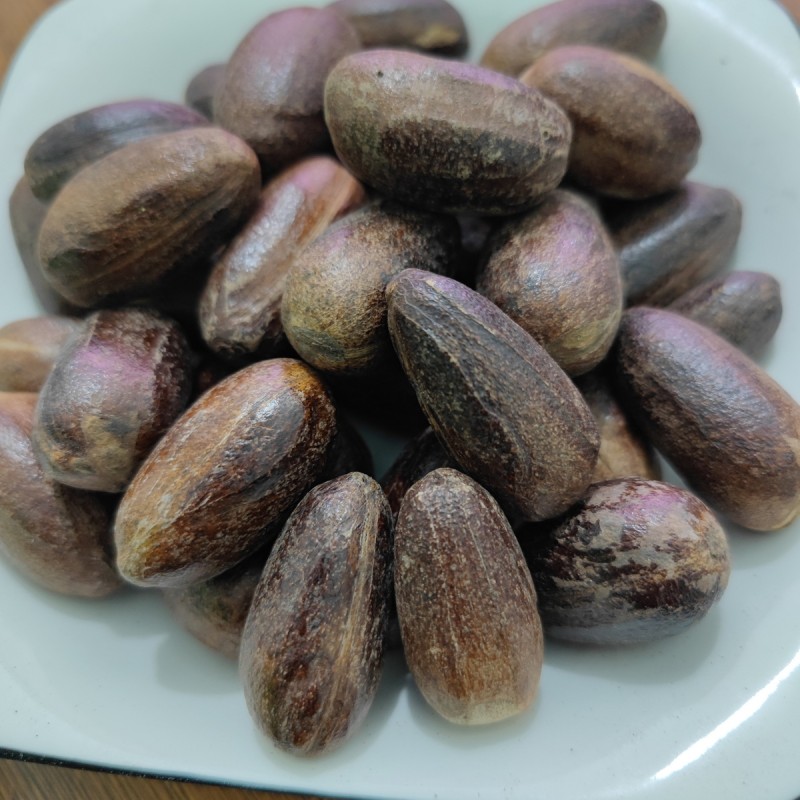 【香果】长香果川菜烧菜炖菜卤菜汤料火锅麻辣烫调味料