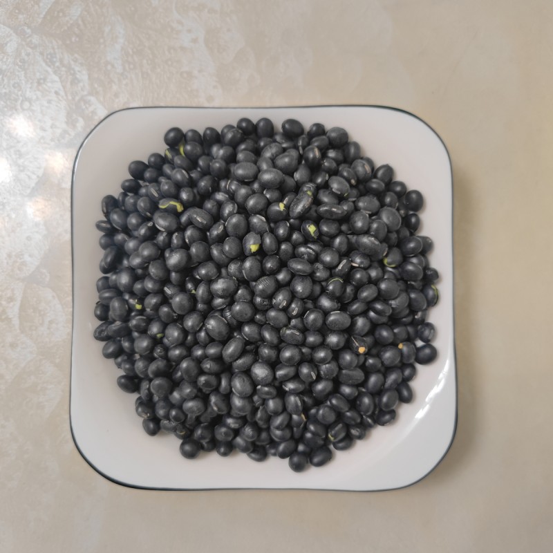 【老品种黑豆】老品种药用黑豆 青仁 黄仁