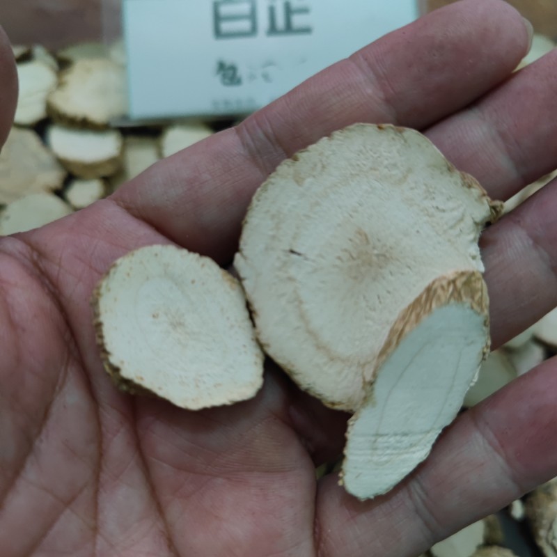 【白芷】 白芷片 卤水 调料 大料